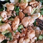 Asian Apple Chicken Salad