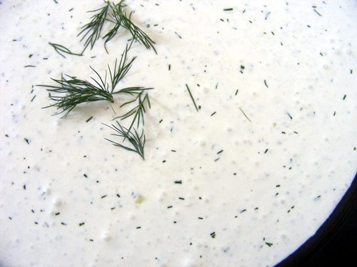 Tzatziki 500x375