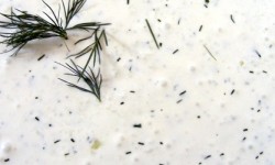 Recipe: Tzatziki