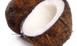 Nutritional Support: Coconut Oil