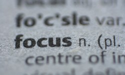 Cultivate Focus