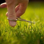 Support: Overcoming Perfectionism
