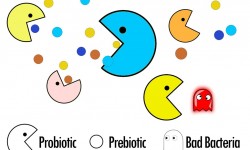 Almost Everything You Need to Know About Probiotics and Prebiotics